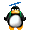 Helico pingouin